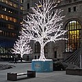 Tree of Lights I